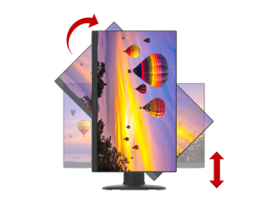 Pzn2410 Rotation V02 1920X1440