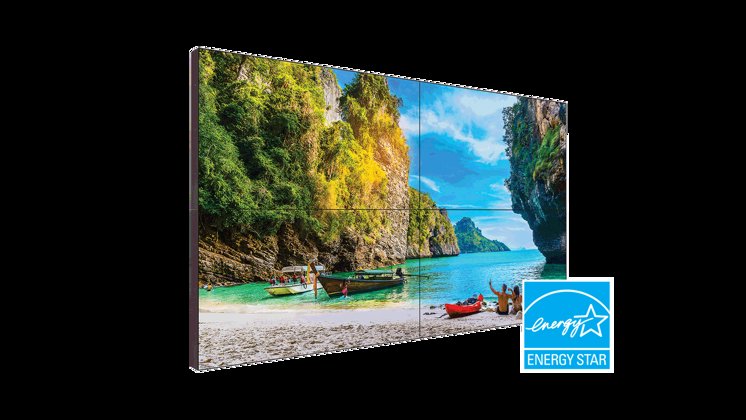 Vm 2X2 Tropical Environment 1714X964 Image