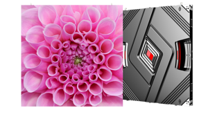 Directlight Pro 8X9 Front Back Angled 1800X1013