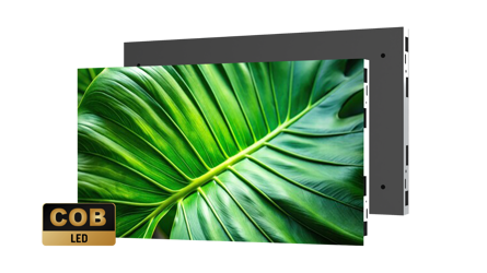 Komodo Cabinet With Badge