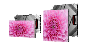 DL Pro Main 1714X964