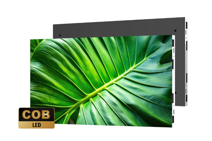 Planar Komodo 730X486 (1)